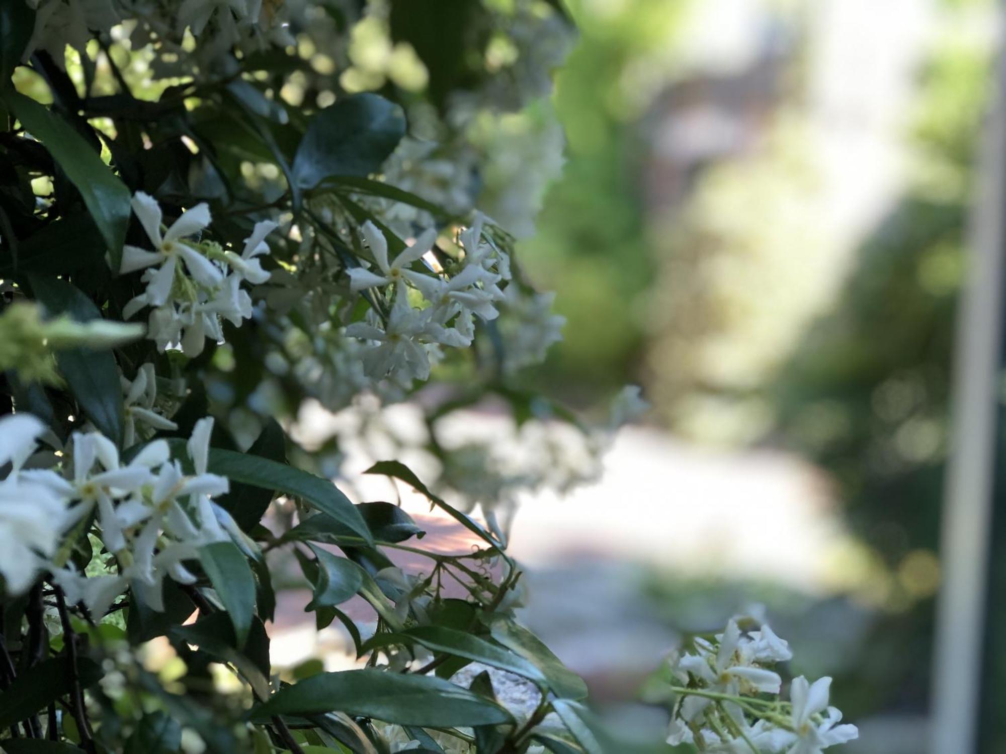 Aux Herbes Hautes Fleurbaix Bagian luar foto